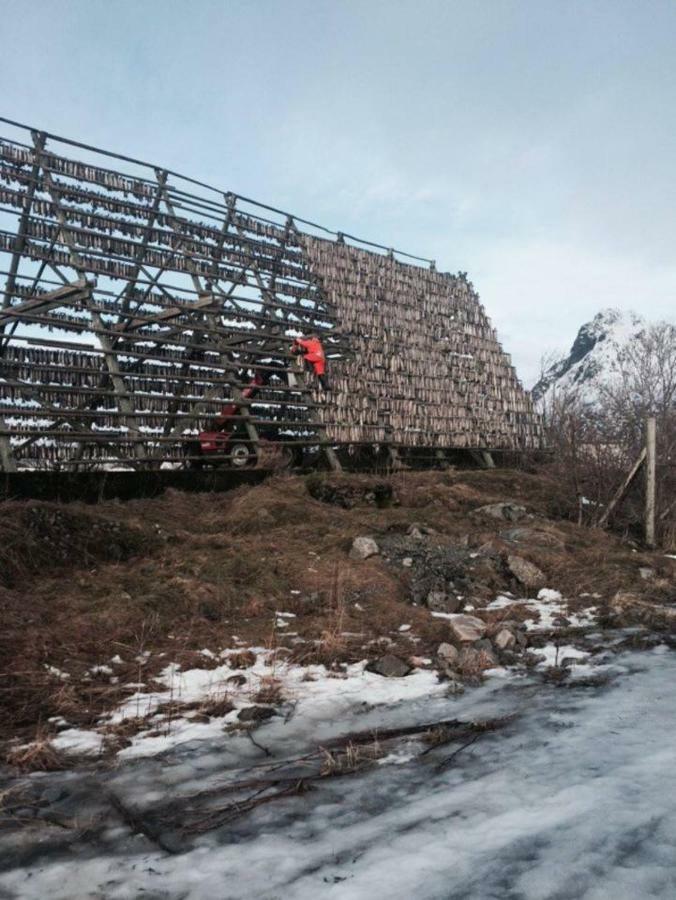 Koselig Hus Naert Havet I Lofoten, Kabelvåg Esterno foto